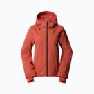 Giacche da sci The North Face