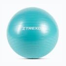 Palle da ginnastica TREXO