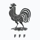 Maglie nazionale Francia