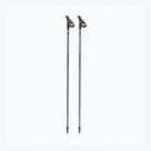 Nordic Walking