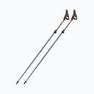 Bastoncini nordic walking
