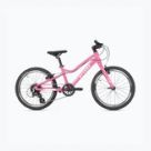 Bici e accessori