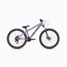 Bici ragazzi