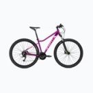Bici mountain bike