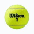 Palline da tennis