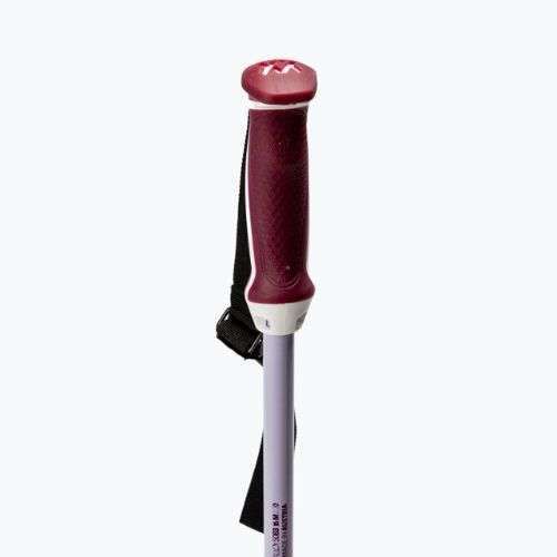 Bastoncini da sci da donna Völkl Phantastick W argento 141017