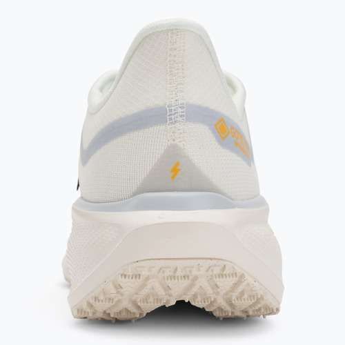 Scarpe da corsa uomo Nike Pegasus 41 GTX sail/football grey/sundial/ashen slate