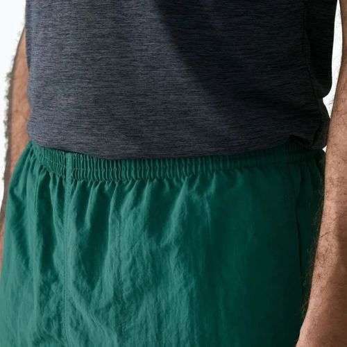 Pantaloncini da uomo Patagonia Baggies 5" 95 oval logo/gem green