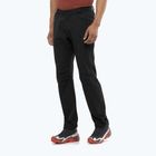 Pantaloni da trekking da uomo Salomon Wayfarer Warm nero profondo