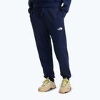 Pantaloni da trekking da uomo The North Face Simple Dome Light Regular Tapered Jogger summit navy