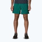 Pantaloncini da uomo Patagonia Baggies 5" 95 oval logo/gem green