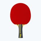 Racchetta da tennis da tavolo Tibhar Rookie Drinkhall