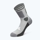 Calzini Rollerblade Skate cool grey