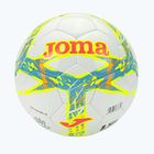 Joma Dali III farina turchese/corallo taglia 3