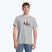 Maglietta da trekking Salewa Lines Graphic Dry grigio erica da uomo