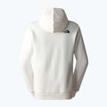 Felpa con cappuccio The North Face Standard da uomo con stampa a distorsione d'acqua gardenia bianco/marrone scuro 5