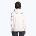Felpa con cappuccio The North Face Standard da uomo con stampa a distorsione d'acqua gardenia bianco/marrone scuro 2