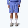 The North Face Mountain Cleanup Pantaloncini blu virtuali rilassati