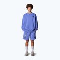 The North Face Mountain Cleanup Pantaloncini blu virtuali rilassati 2