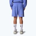 The North Face Mountain Cleanup Pantaloncini blu virtuali rilassati 3