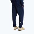 Pantaloni da trekking da uomo The North Face Simple Dome Light Regular Tapered Jogger summit navy 3