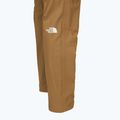Pantaloni da uomo The North Face Limestone utility marrone 4