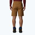 Pantaloncini da uomo The North Face Limestone utility brown 3