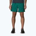 Pantaloncini da uomo Patagonia Baggies 5" 95 oval logo/gem green