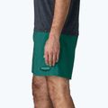 Pantaloncini da uomo Patagonia Baggies 5" 95 oval logo/gem green 5