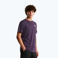 T-shirt da uomo The North Face Evolution Box NSE endless dusk