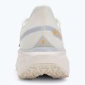 Scarpe da corsa uomo Nike Pegasus 41 GTX sail/football grey/sundial/ashen slate 6