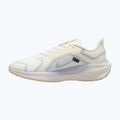 Scarpe da corsa uomo Nike Pegasus 41 GTX sail/football grey/sundial/ashen slate 9