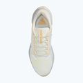 Scarpe da corsa uomo Nike Pegasus 41 GTX sail/football grey/sundial/ashen slate 10