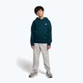 Felpa per bambini New Balance Brush Back Small Logo Hoodie medusa green 2