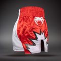 Pantaloncini da allenamento Venum Inferno 2.0 Muay Thai red/white 4