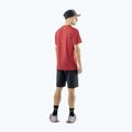 Pantaloncini da trekking da uomo DYNAFIT Transalper Light Dynastretch black out/0730 3