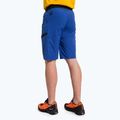 Pantaloncini da trekking Salewa Agner Light electric/0910 da uomo 3