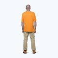 Camicia da trekking Salewa Agner Hemp/Dst turmeric da uomo 3
