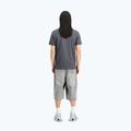 Maglietta Alpha Industries da uomo Hawaii grigio vintage 3