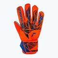 Reusch Attrakt Starter Grip guanto da portiere hyper orng/elec blu 2
