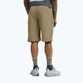 Pantaloncini da trekking da uomo Jack Wolfskin Duneland hazel wood 3