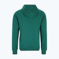 Felpa da uomo FILA Lutheran Hoody aventurine 5