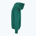 Felpa da uomo FILA Lutheran Hoody aventurine 6