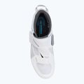 Scarpe da strada Shimano SH-TR501 da uomo, bianco 6