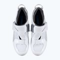 Scarpe da strada Shimano SH-TR501 da uomo, bianco 14