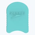 Speedo Team Kickboard tavola da nuoto in vetro