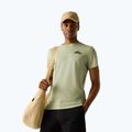 Maglietta da trekking da uomo REGATTA Breezed light sage