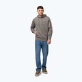Felpa da uomo Pitbull Sampson Hooded Sweatshirt taupe 2
