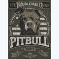 Felpa da uomo con cappuccio Pitbull Troublemaker verde antico 9