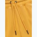 Pantaloni da corsa Pitbull Lancaster 2 da uomo, giallo slavato 8
